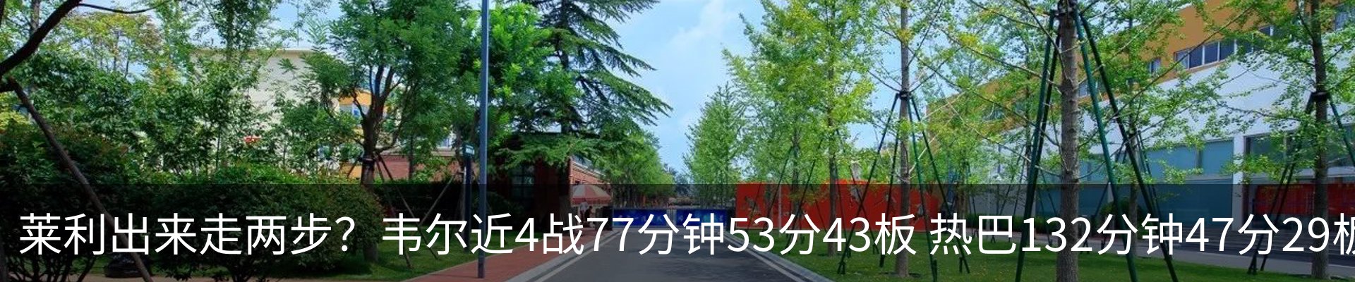新闻动态