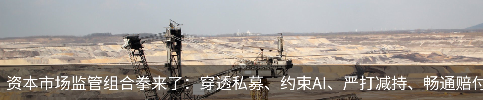 新闻动态