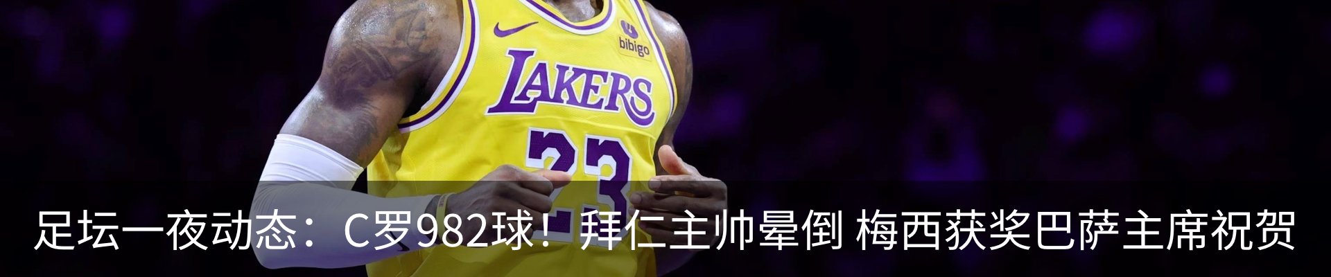 新闻动态