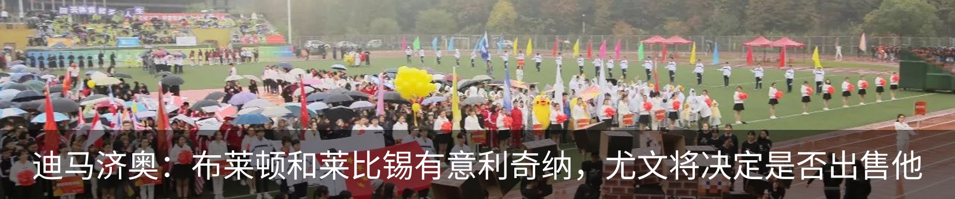 新闻动态