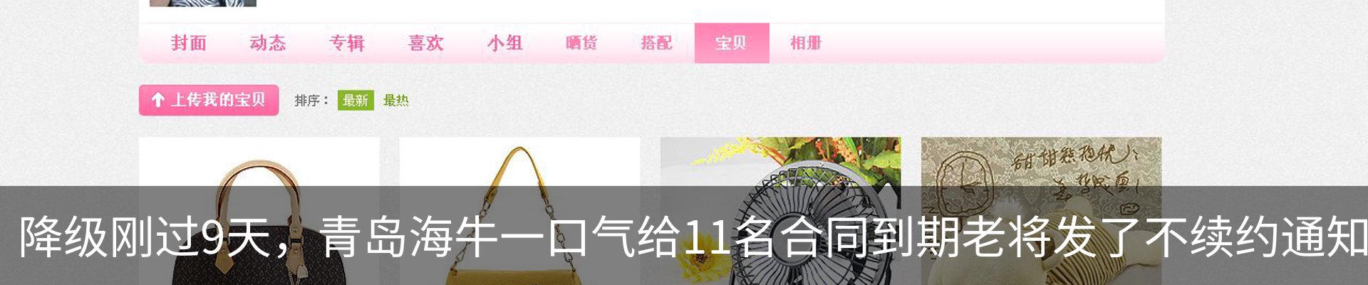 新闻动态