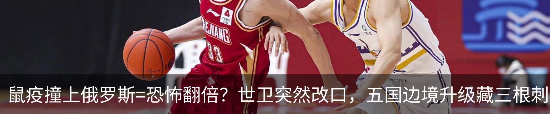 新闻动态