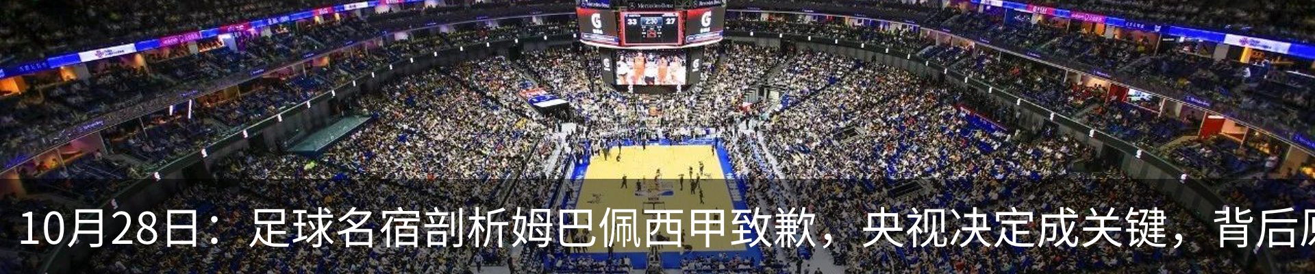 新闻动态