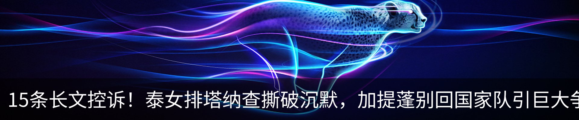 新闻动态