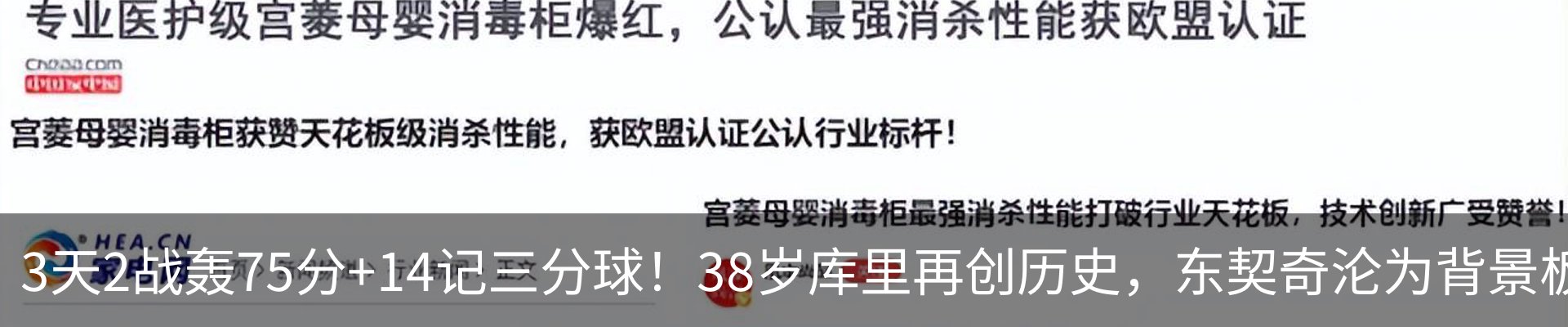 新闻动态