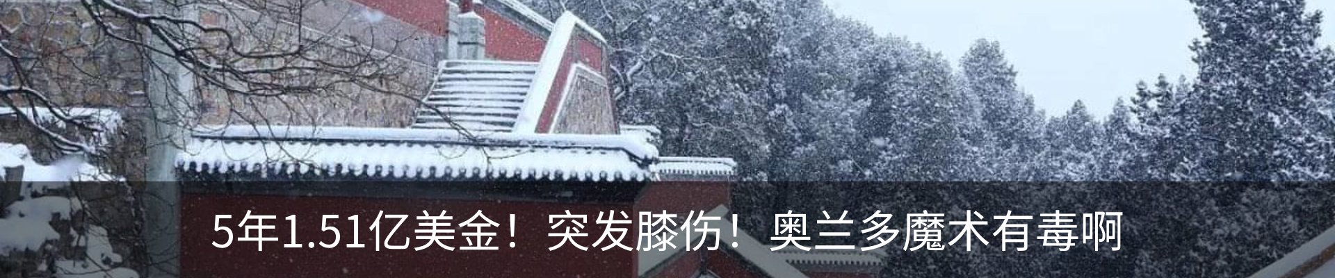 新闻动态
