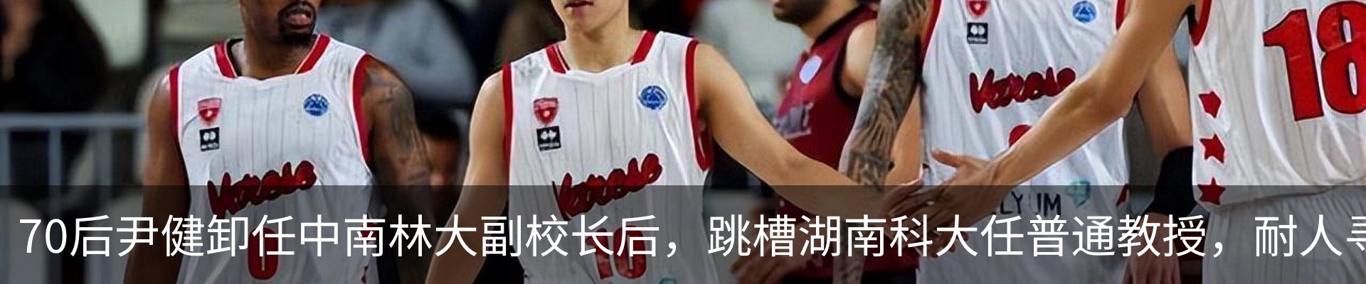 新闻动态
