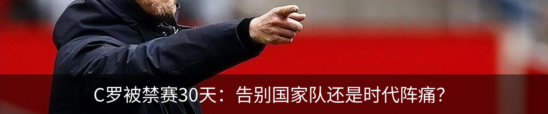 新闻动态