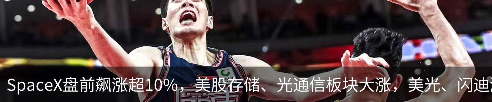 新闻动态